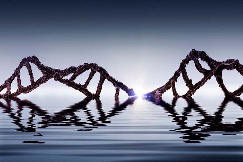 지구에 생명이 나타날 수 있습의 결과로 하이브리드의 분자 DNA 및 RNA