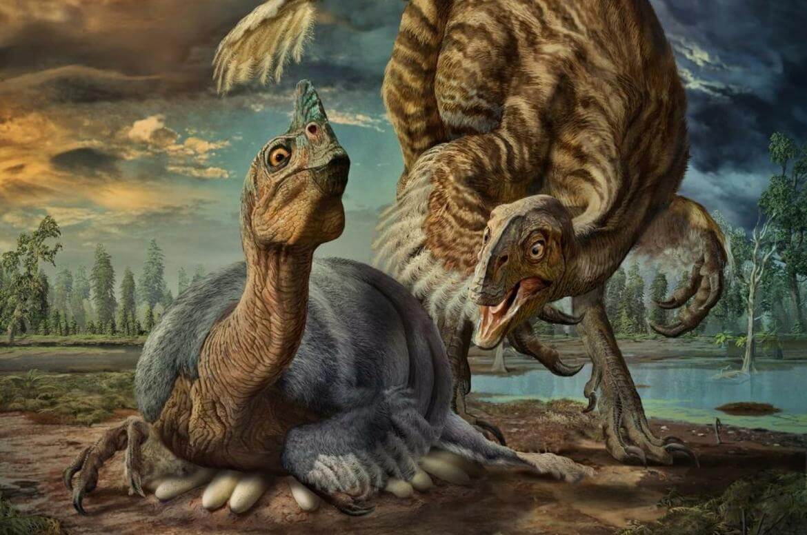 一个非常重要的发现，恐龙蛋是未涵盖的与一个壳
