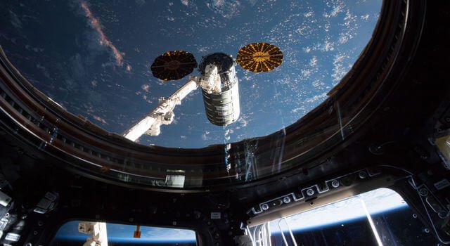 في معمل الفضاء على متن المحطة الفضائية الدولية قد خلقت نوع غريب من الموضوع