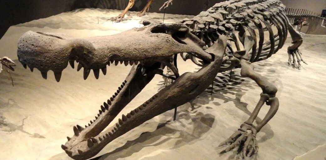 고대 동물들은 두려워하는 심지어 공룡?
