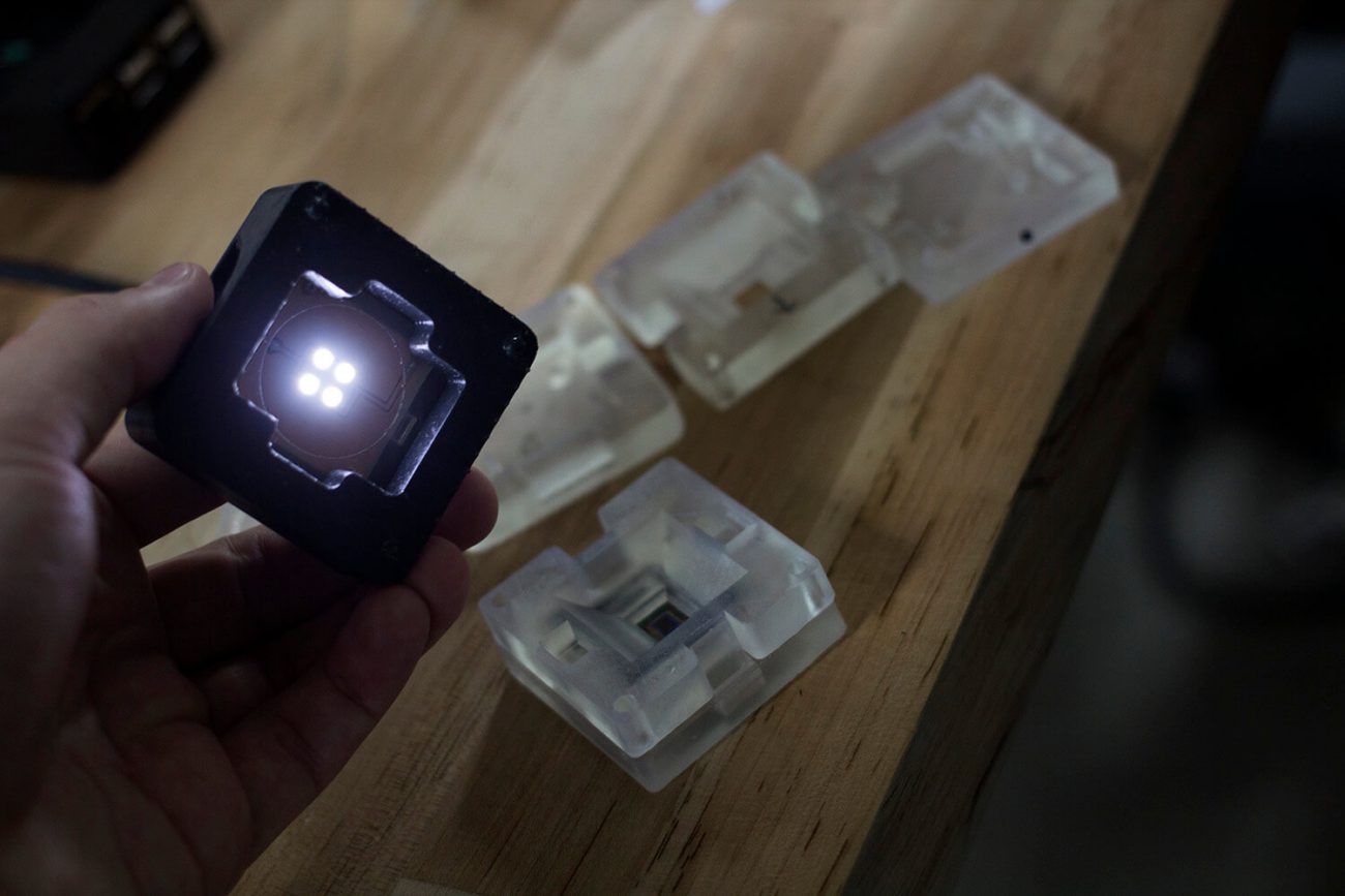 Aquarium animals: what could be modular Ara smartphone from Google?