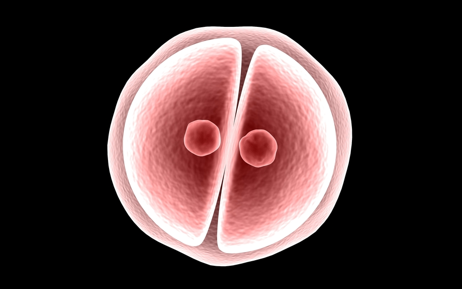 Naukowcy poparli genetyczną modyfikację ludzkich zarodków