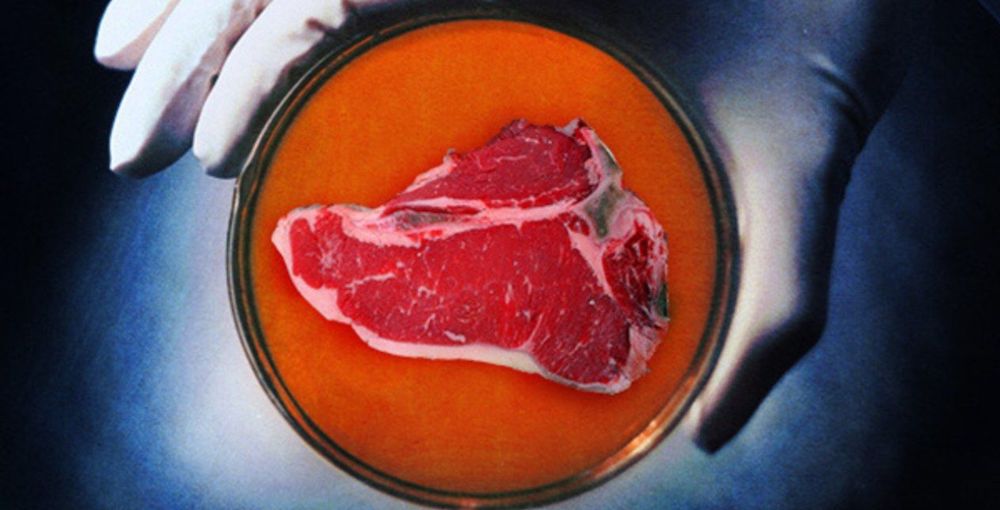 Company Memphis Meats got chicken and ducks in vitro
