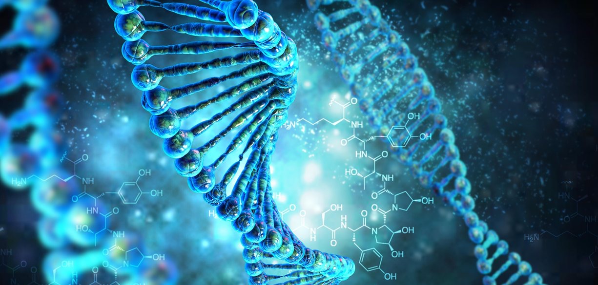 The operating system code recorded in the DNA molecule