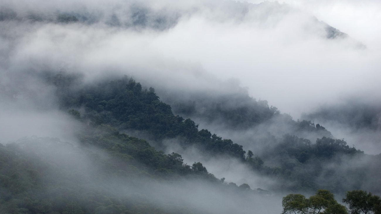 «Misty» Speicher können eine sichere Alternative zur cloud