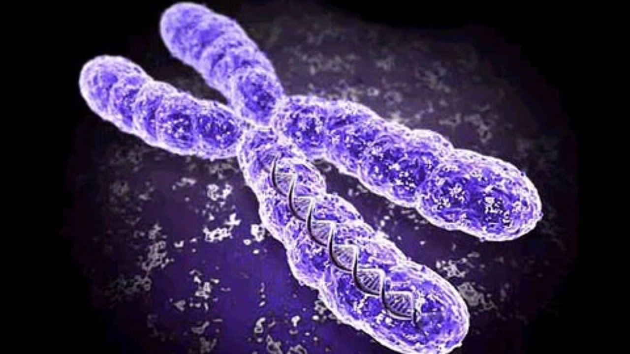 Russian scientists have developed a new technology to detect chromosomal instability