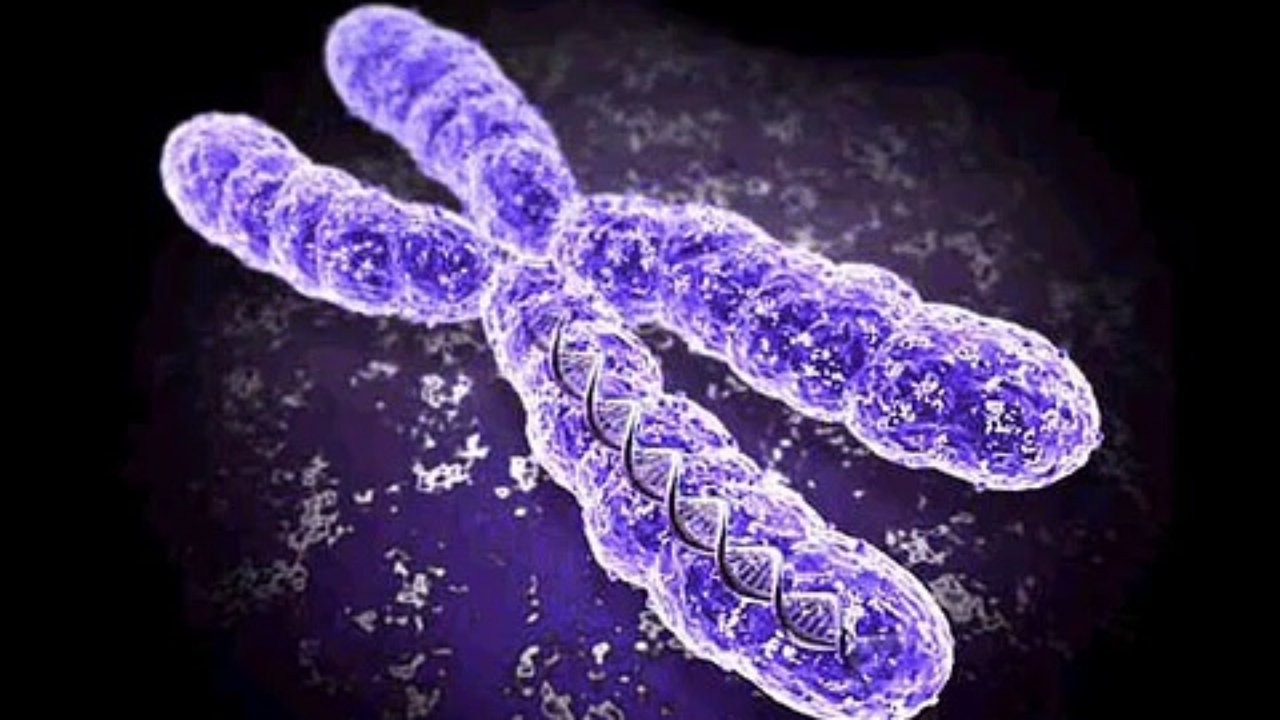 俄罗斯科学家已开发了一个新的技术来检测的染色体不稳定