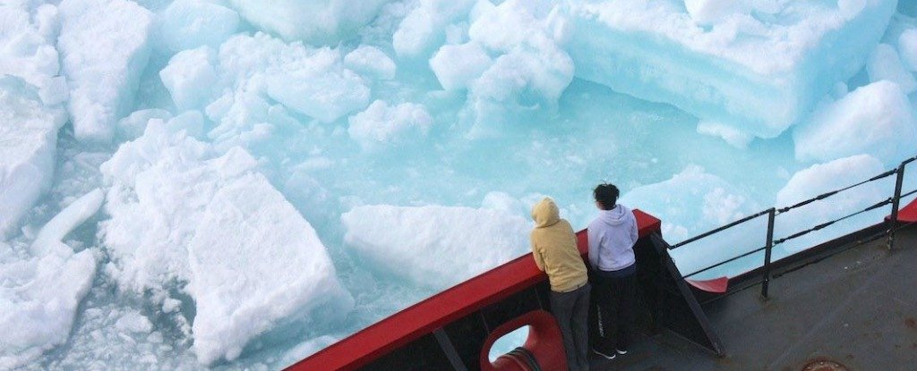 Eğer bölge permafrost azalmaya devam ediyor, «uyandırmak» eski virüsler