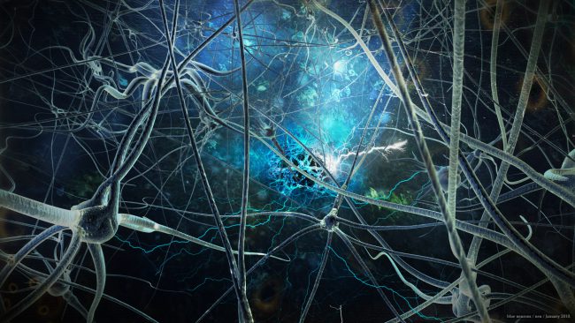 Neuralink Илона Маска. Үшінші бөлім: полет над гнездом нейрондық