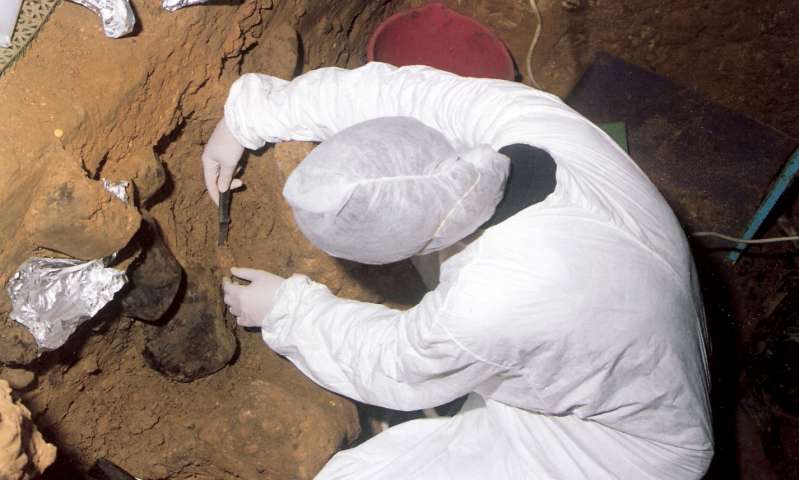 Los arqueólogos han podido detectar el adn de nuestros antepasados en las rocas sedimentarias