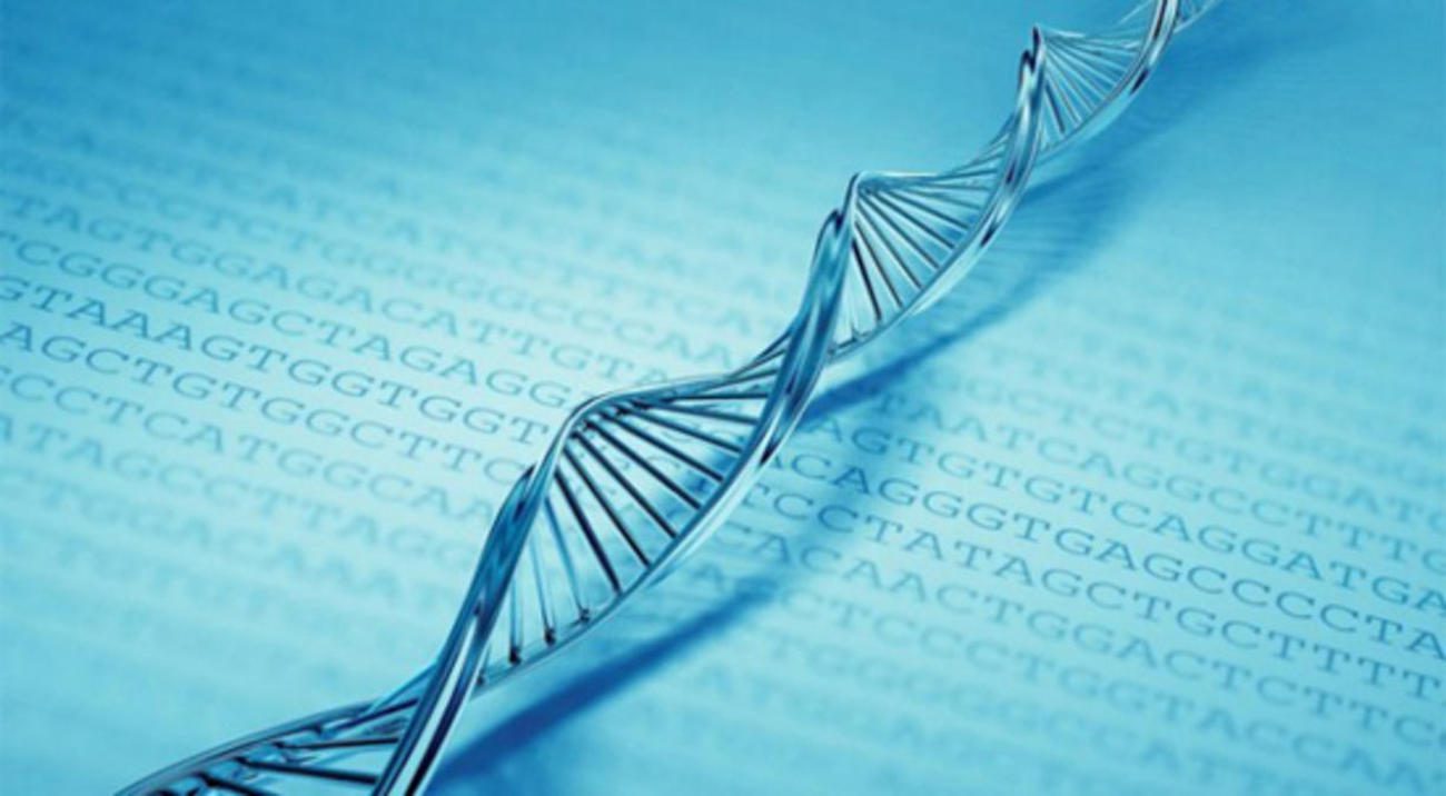 Compor o mais completo mapa do DNA humano