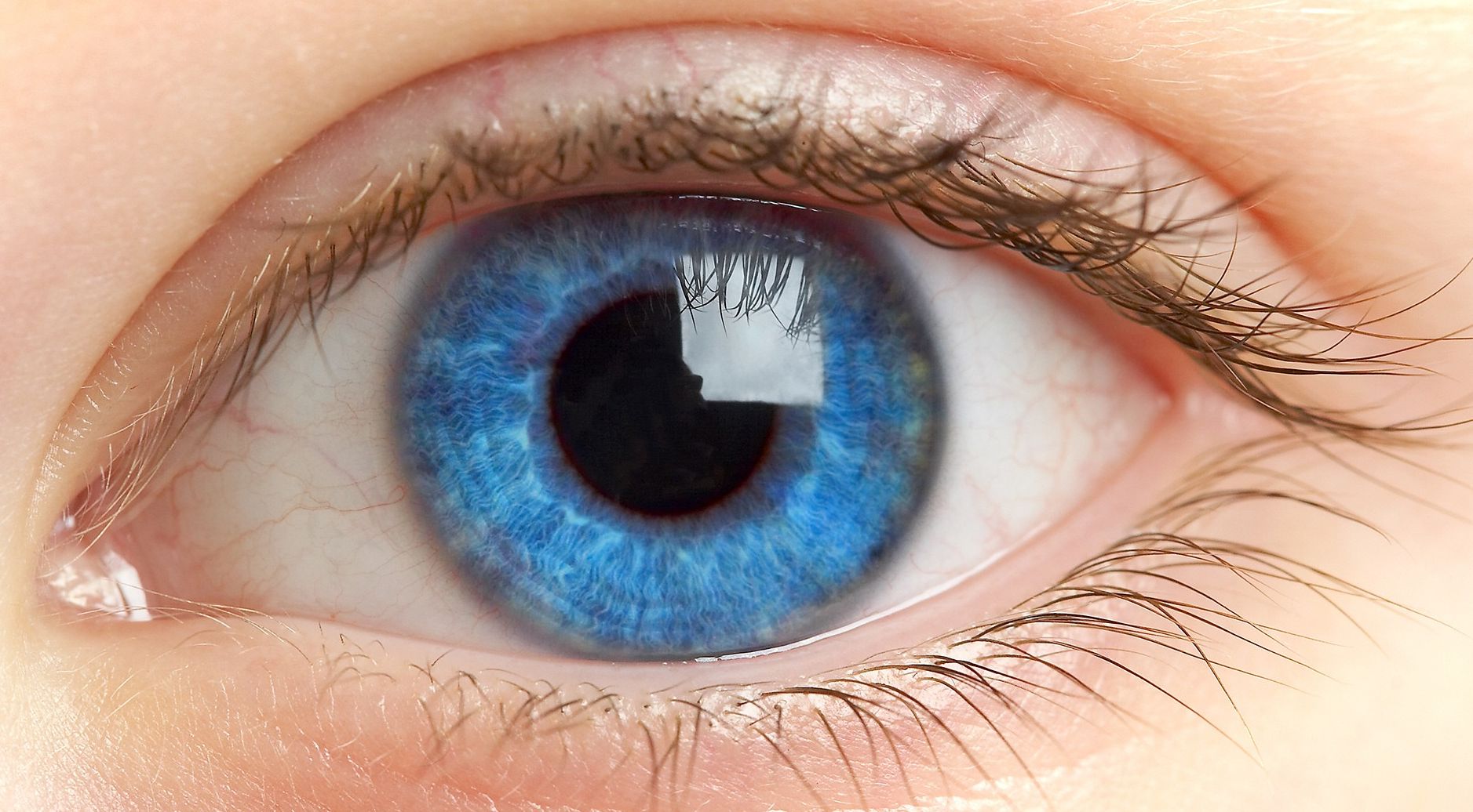 Científicos finlandeses han creado artificial como la envoltura de los ojos