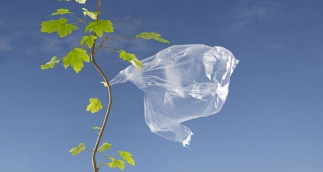 Generata polietilene, in grado di decomporsi rapidamente e non inquinare la natura