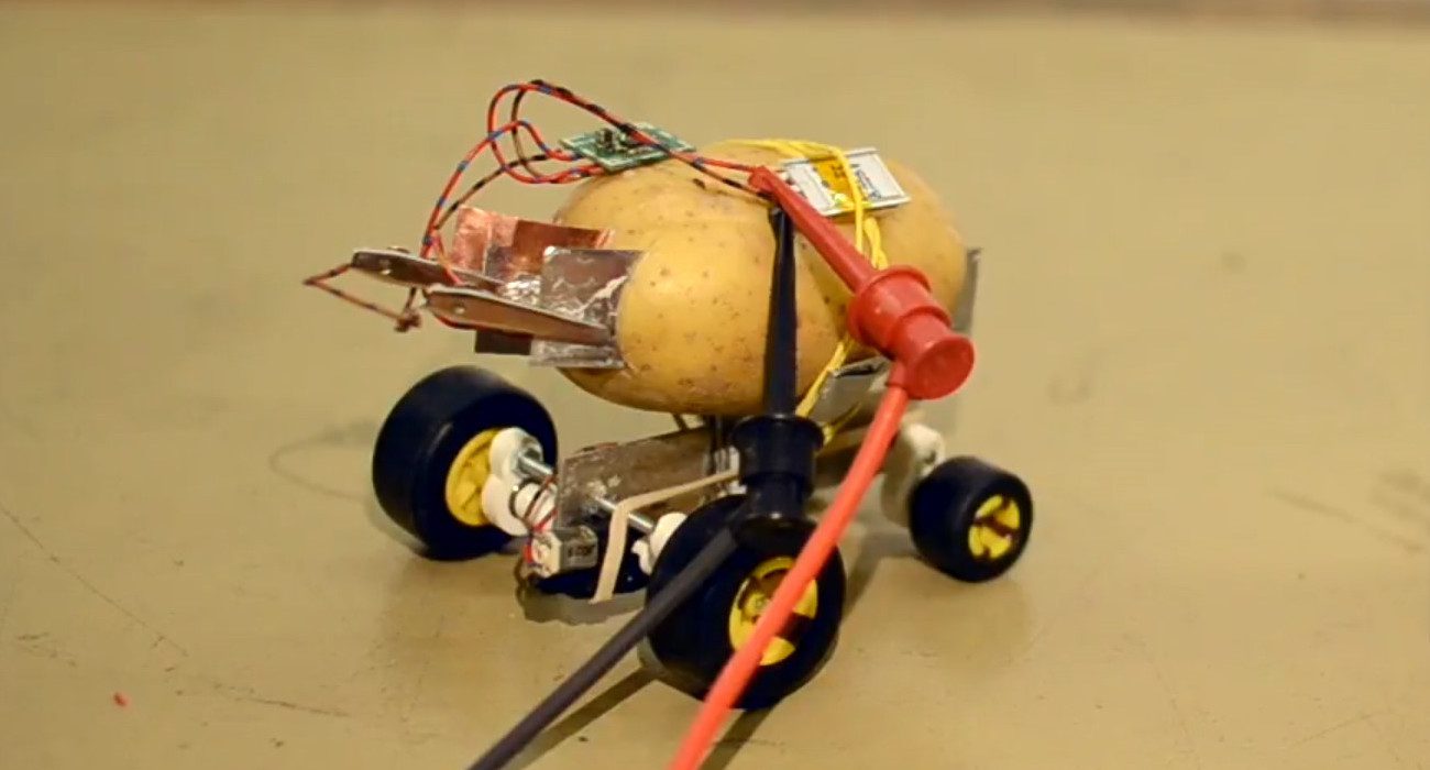 #video | Abitante Polonia costruito autogestito robot di patate