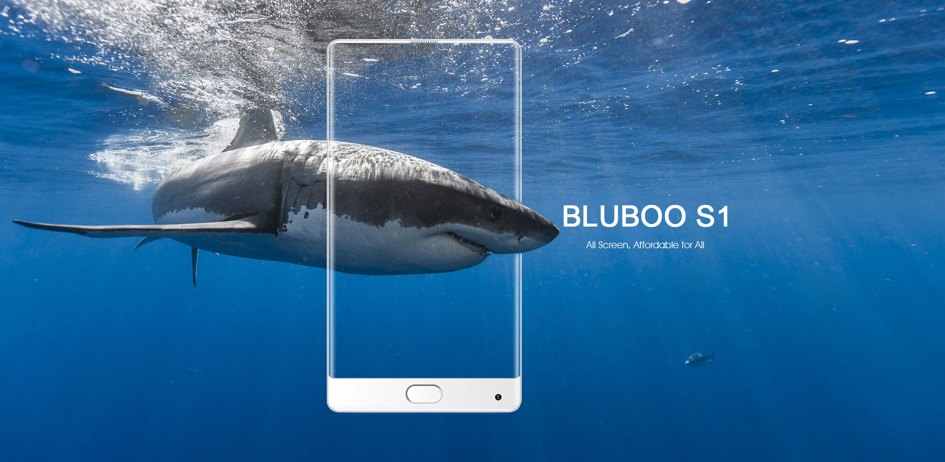 A detailed story about the smartphone BLUBOO S1