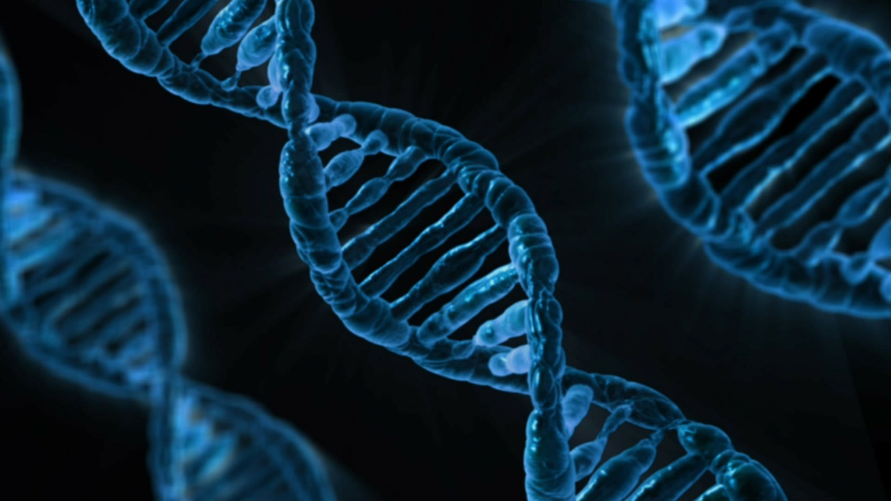 «Die dunkle DNA» kann verändern unsere Vorstellung über die Evolution