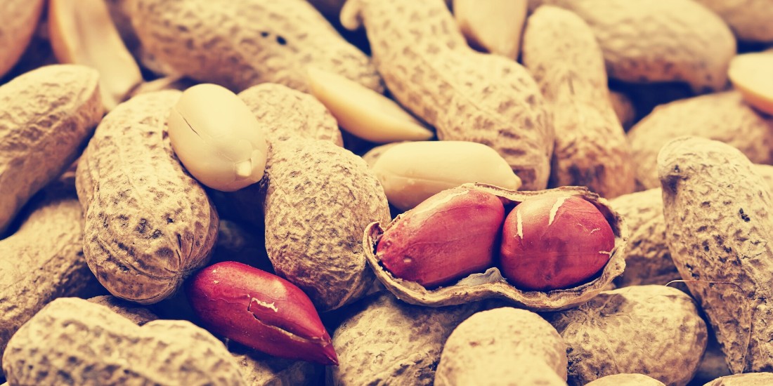 Australian scientists have found a way to get rid of peanut Allergy
