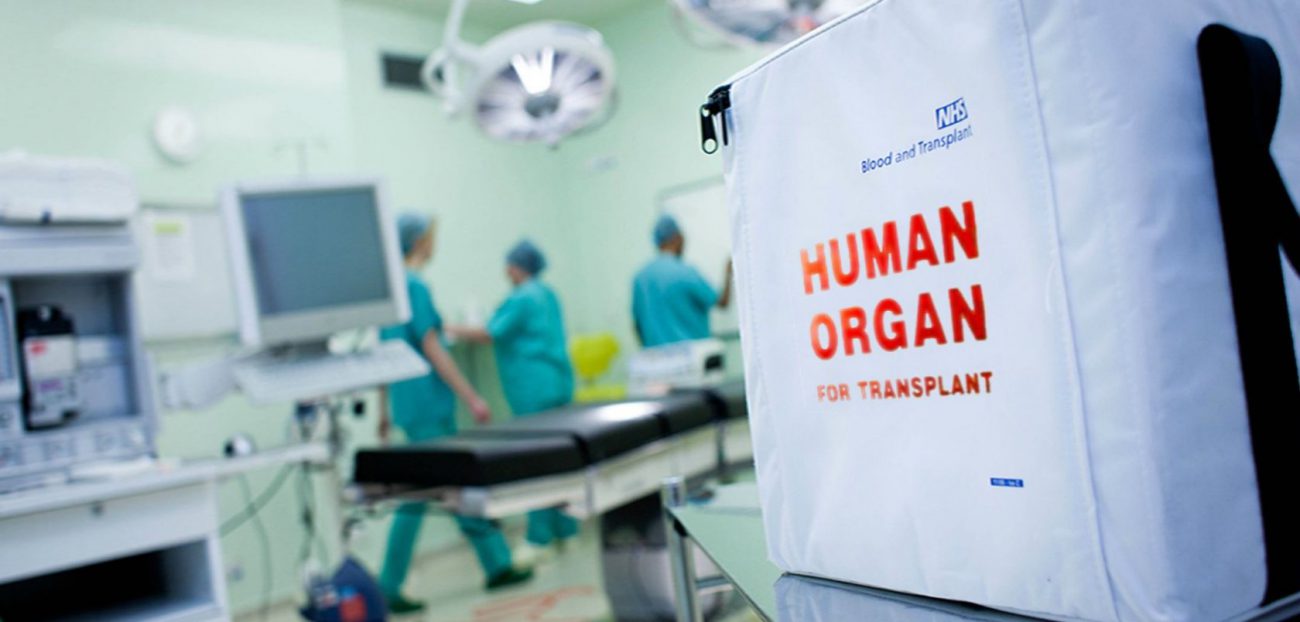 First grown pigs whose organs can be transplanted to a human
