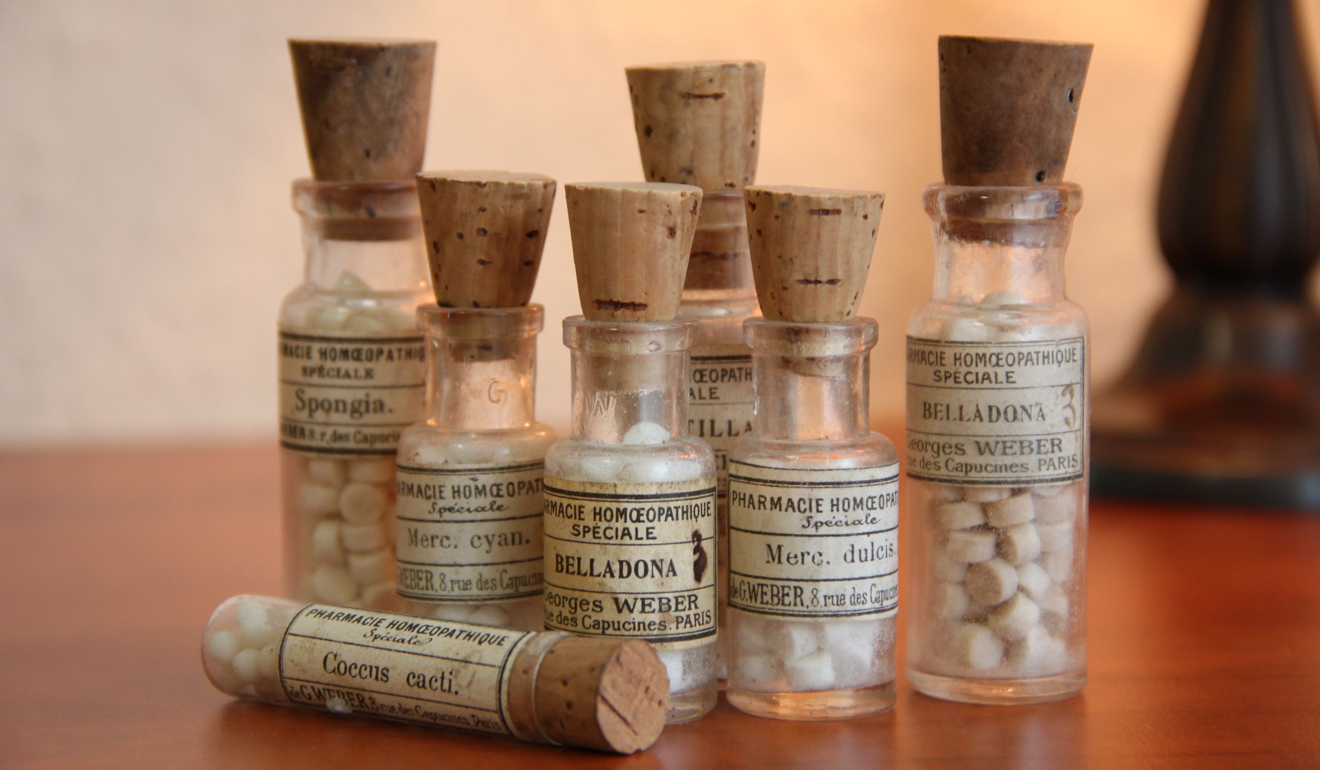 There cannot be two different medicines: scientists continue to struggle with homeopathy