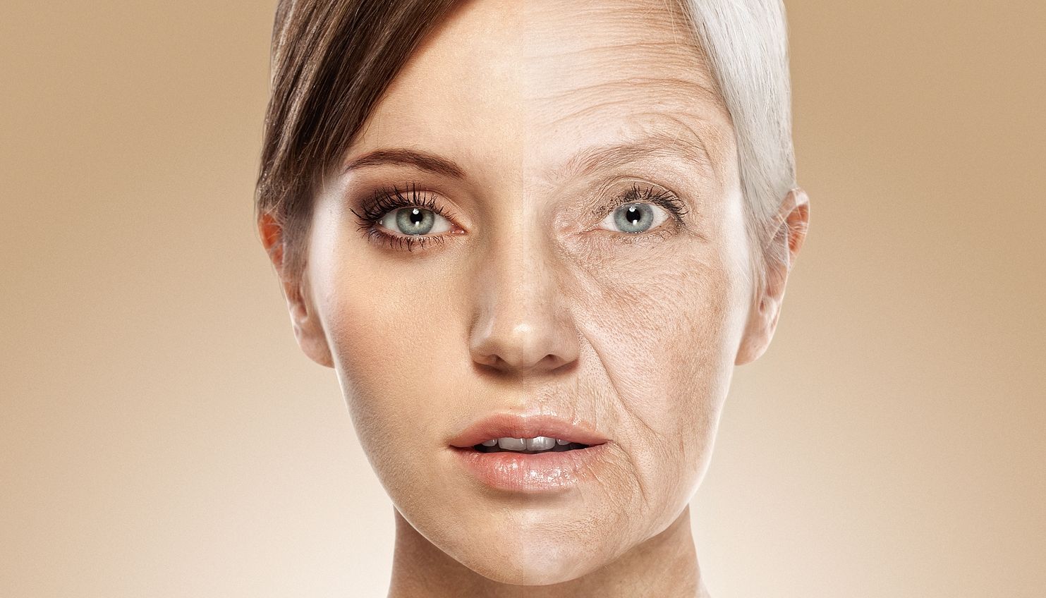 Scientists believe that the aging process cannot be stopped from a mathematical point of view