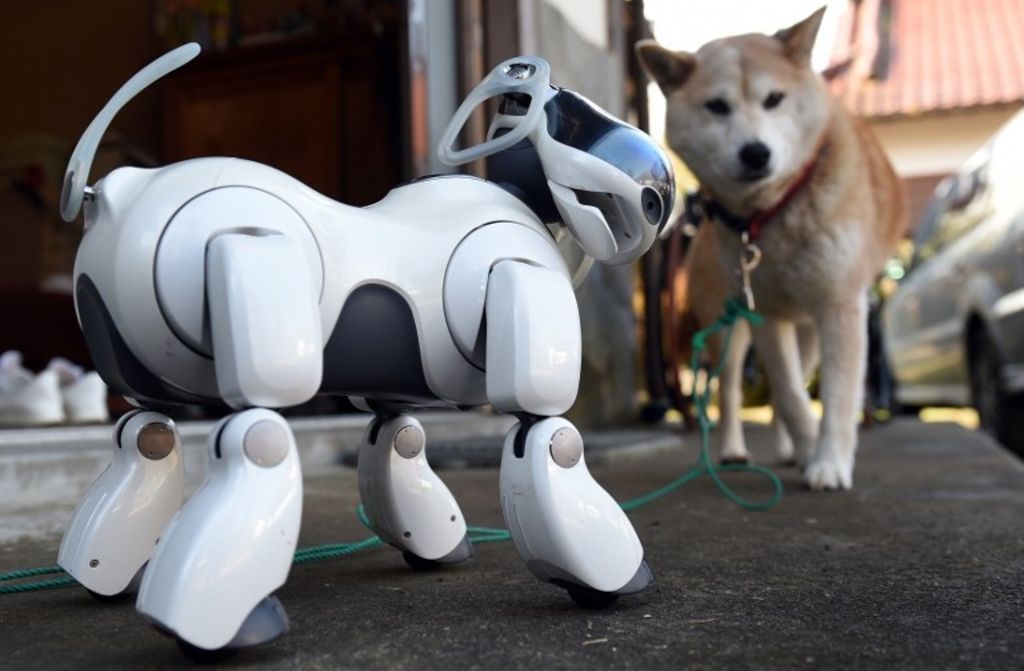 Sony will release an updated version of the legendary robot Aibo