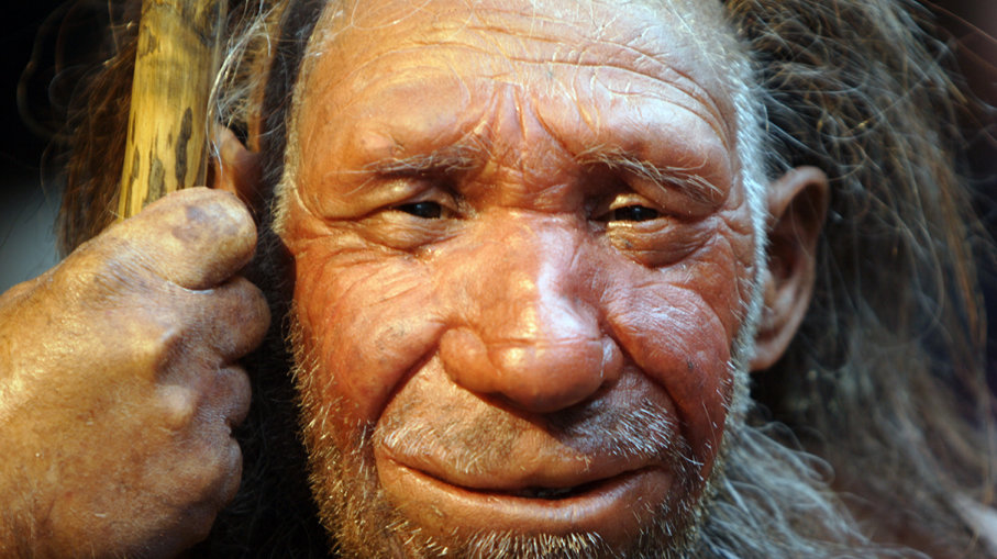 The genes of Neanderthals associated with poor sleep and obesity