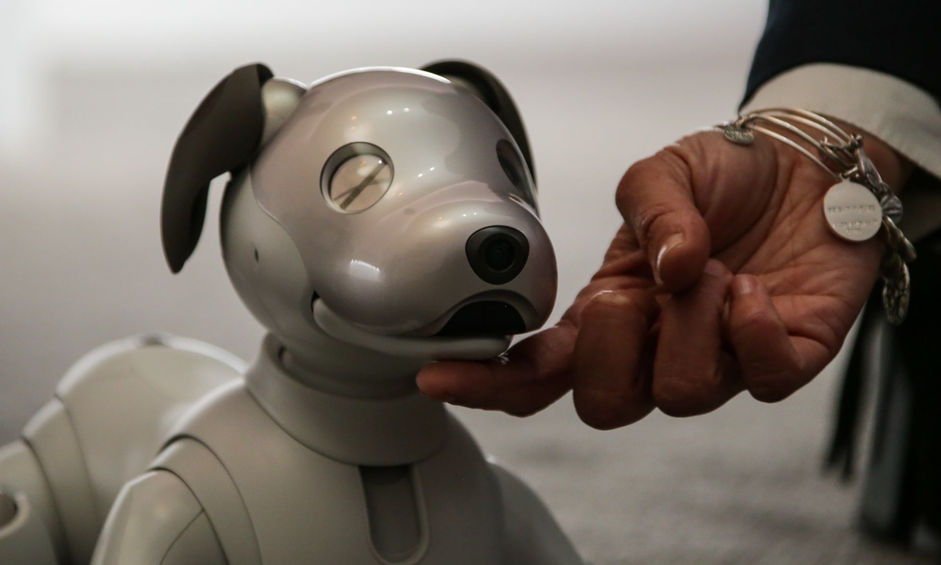 #CES 2018 | Visitatori del CES 2018 molto affascinata dalla nuova versione del robot Aibo