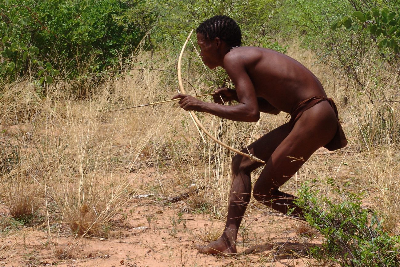 الأفريقية السهم السام يمكن أن تصبح الذكور لوسائل منع الحمل