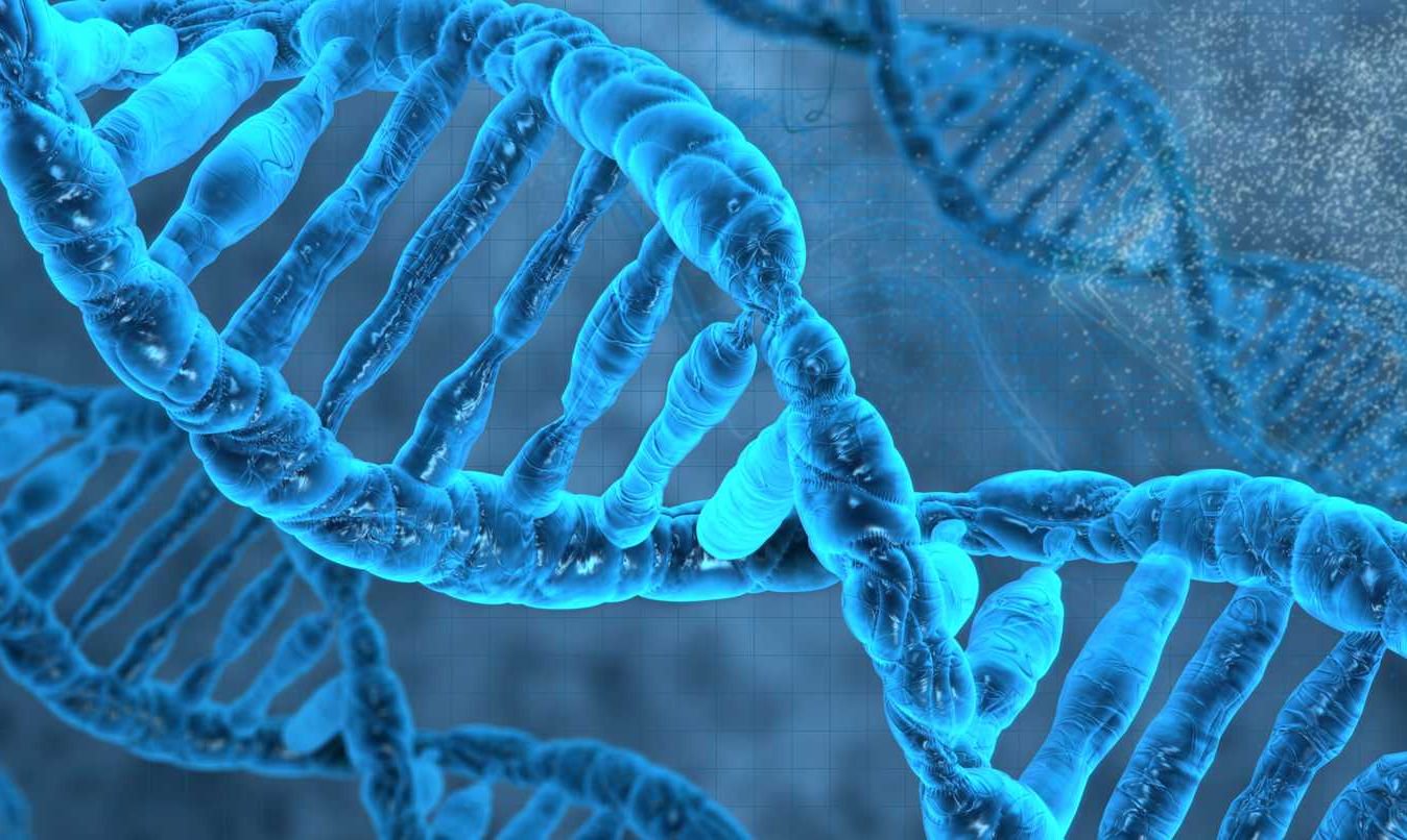 وقد اخترع العلماء طريقة جديدة لتخزين البيانات داخل الحمض النووي