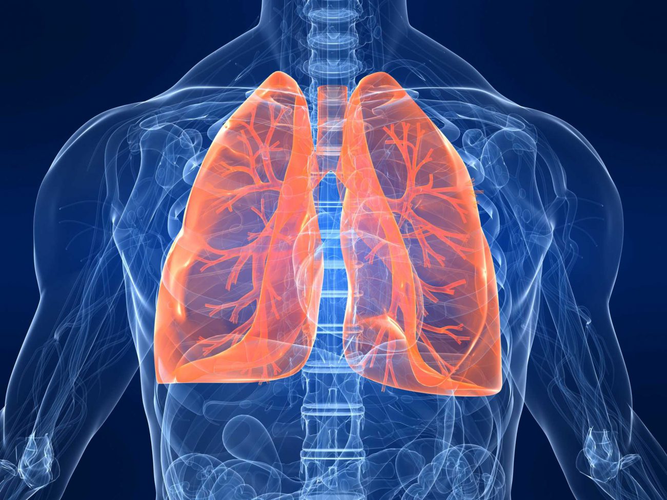 Scientists first managed to re-create lung tissue