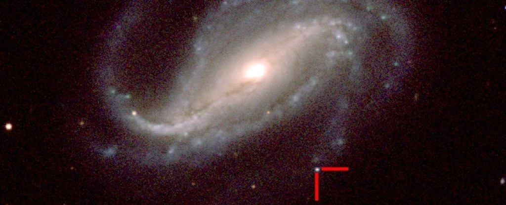 Astronomo dilettante il primo nella storia della foto ha ricevuto la comparsa di una supernova