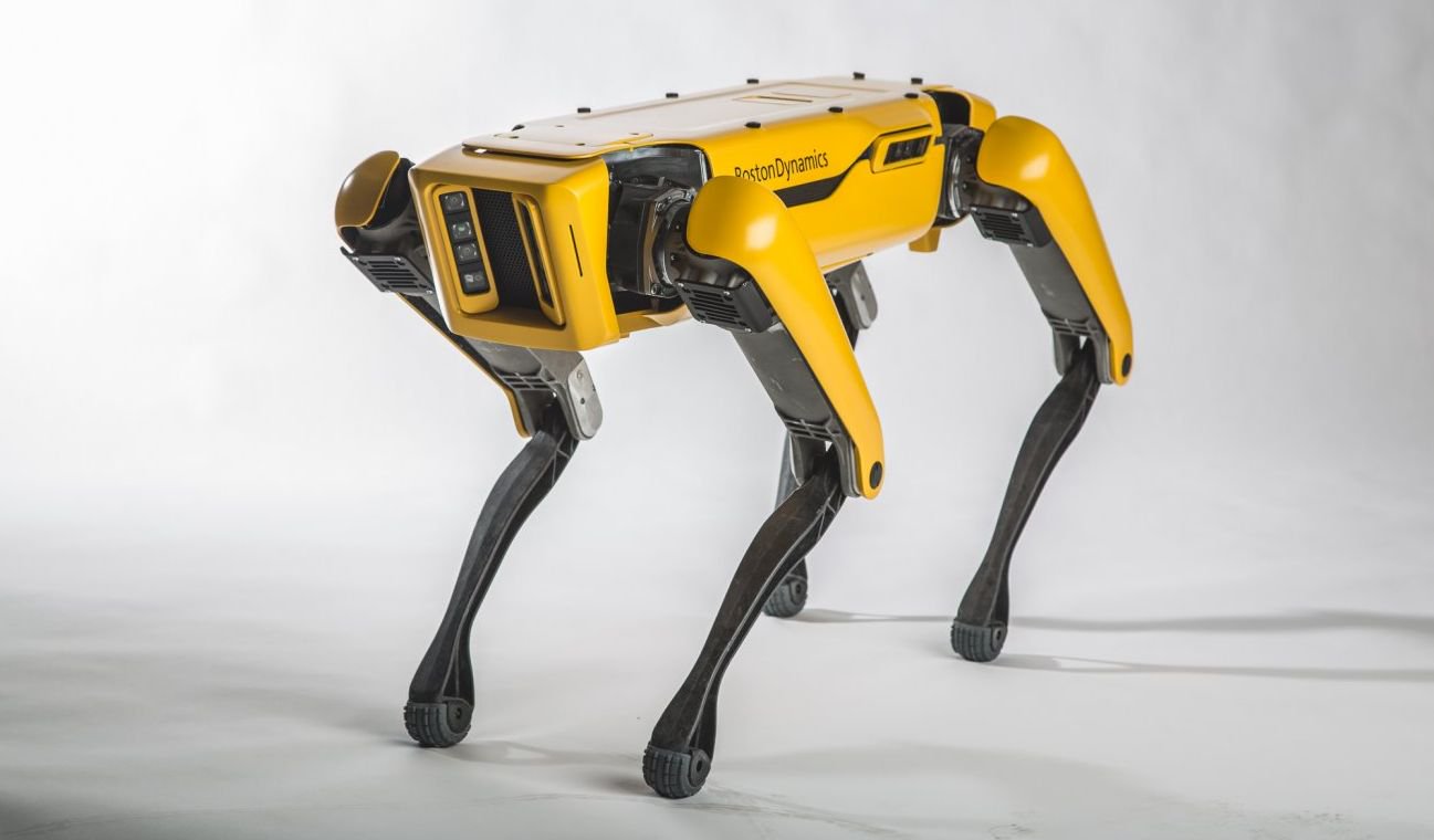 #video del giorno | Robot SpotMini società di Boston Dynamics ha imparato nuovi trucchi