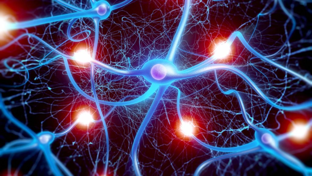 Rosyjscy naukowcy nauczyli sieć neuronową wątpić w słuszność swoich decyzji