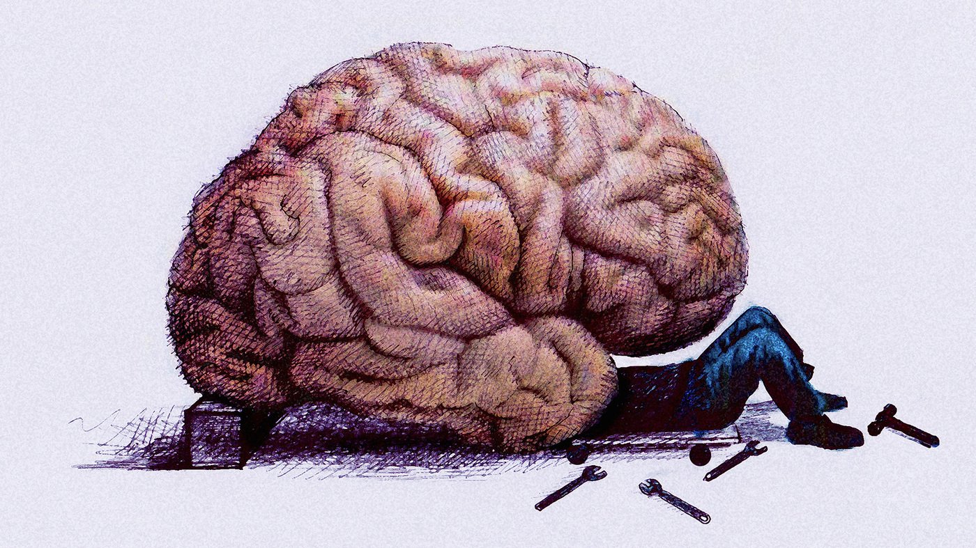 Il nuovo algoritmo ci aiuta a completa simulazione del cervello