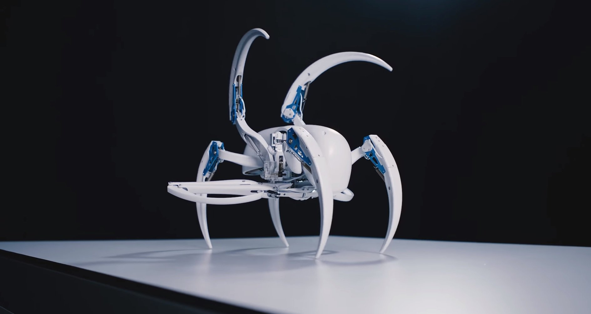 #video uzunluğu | Yeni robot-örümcek şirketi Festo