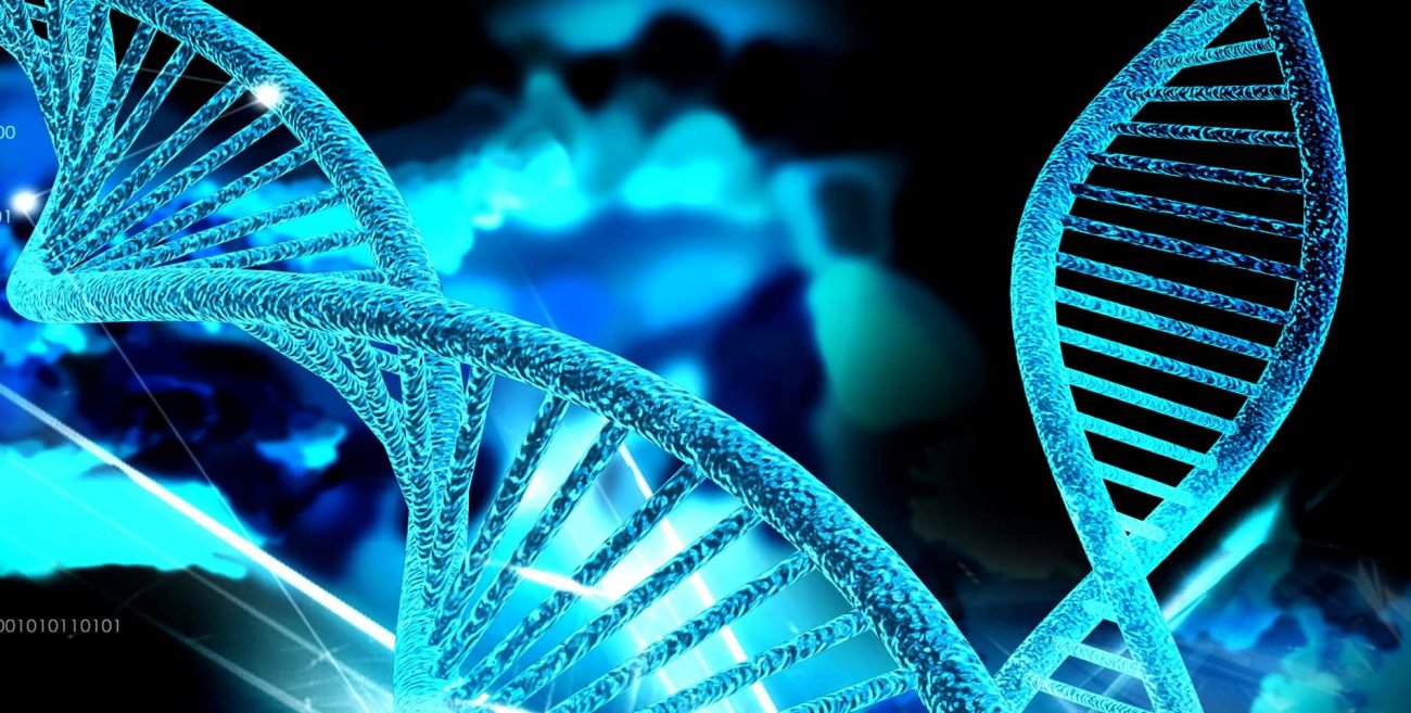 Les scientifiques ont compris comment fonctionne l'enzyme de l'immortalité»