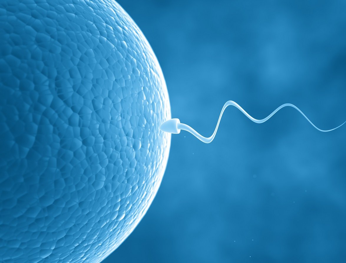 إنشاء آمنة غير الهرمونية لمنع الحمل للرجال