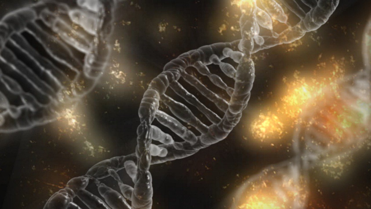I biologi hanno potuto comprendere «il fissatore del DNA» nelle cellule tumorali