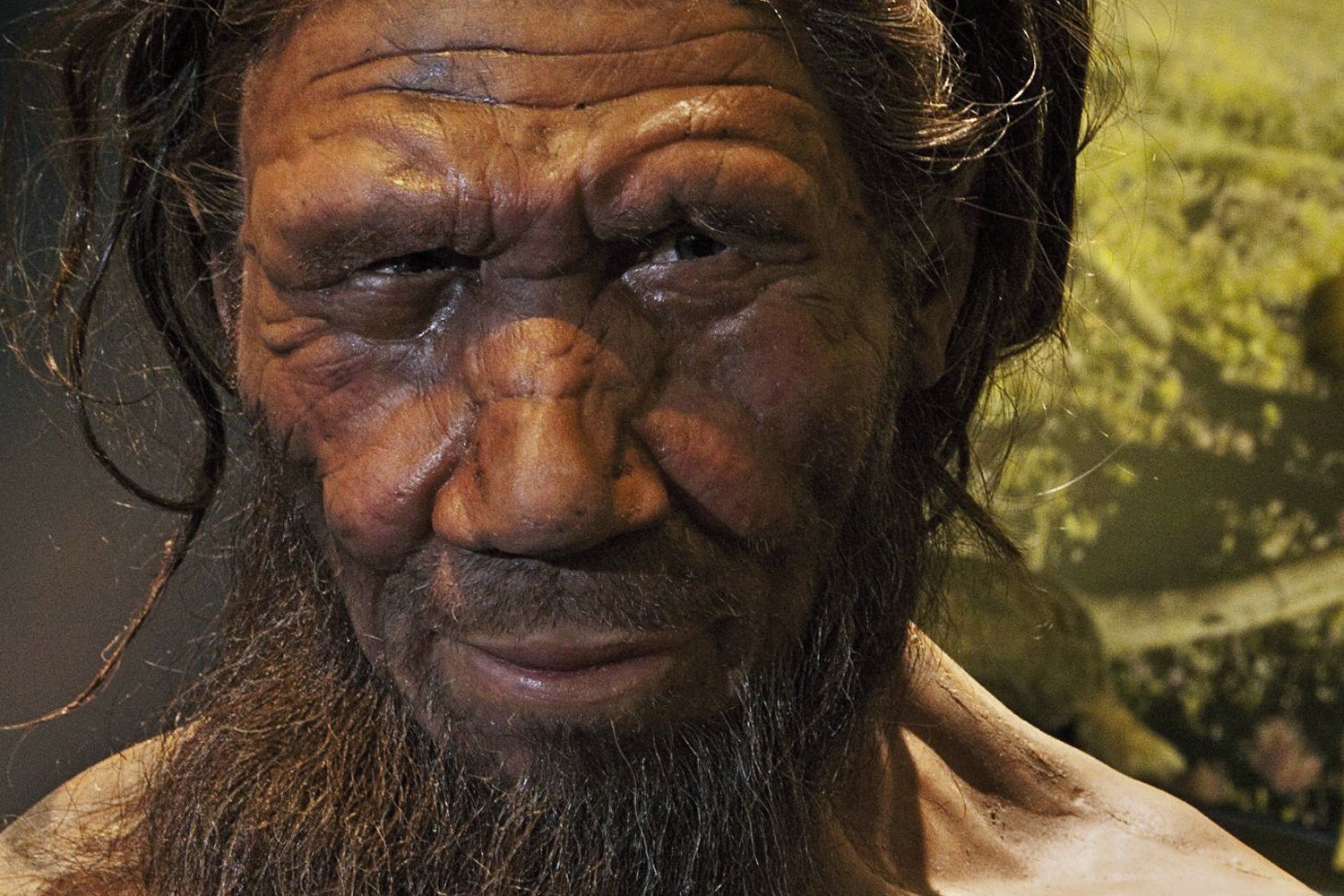 Canlı «mini beyin» neandertal söyler, ne yapar beynimiz özel