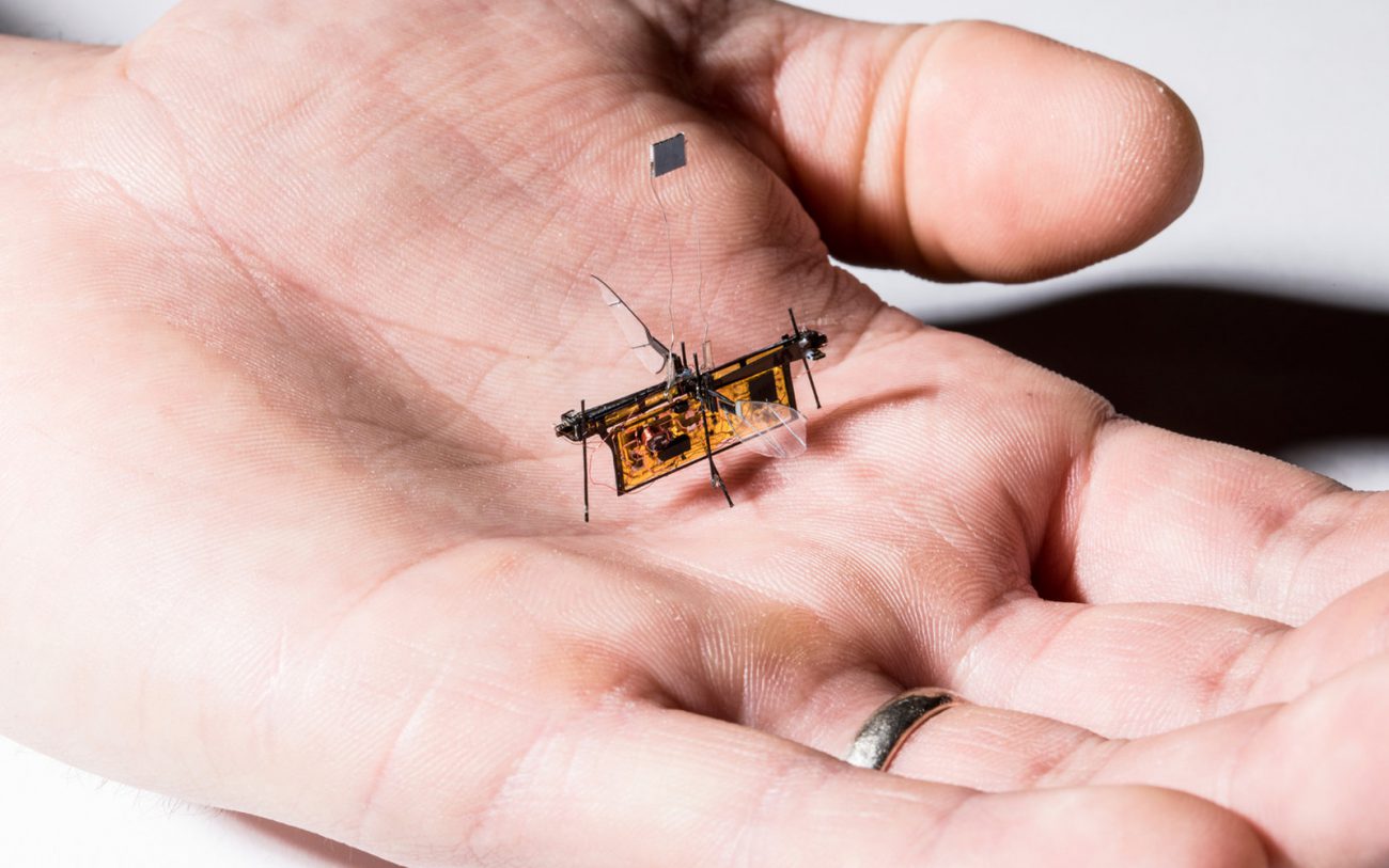 O robô-mosca, que recebe energia sem fios