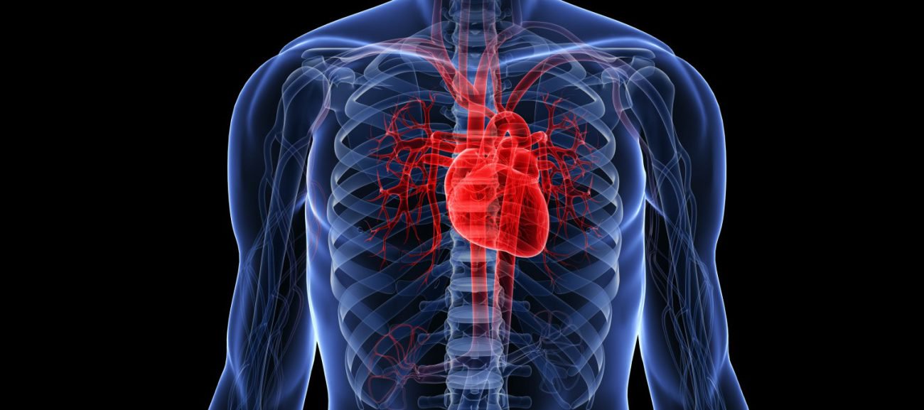 Russian scientists first in the world unfroze and launched heart