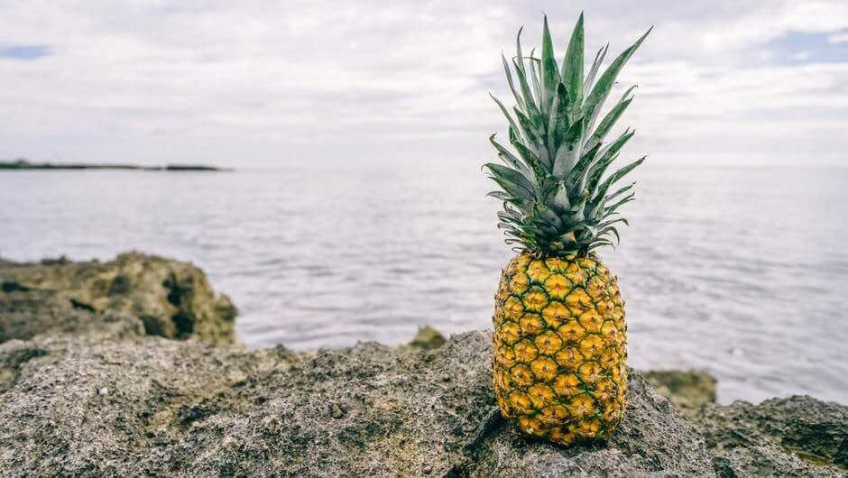 Pineapple Fund сыйға қайырымдылық ұйымдарына 55 миллион доллар биткоинах