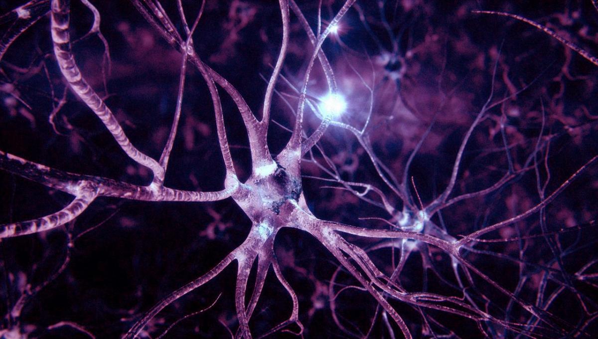 Läkare har lärt sig att återställa nervceller