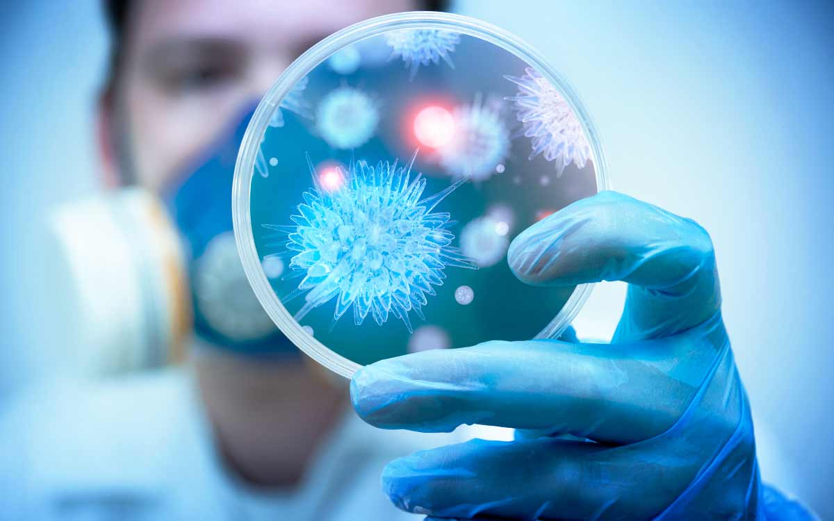 Vetenskapsmän har konstaterat har av virus som kommer att orsaka en pandemi