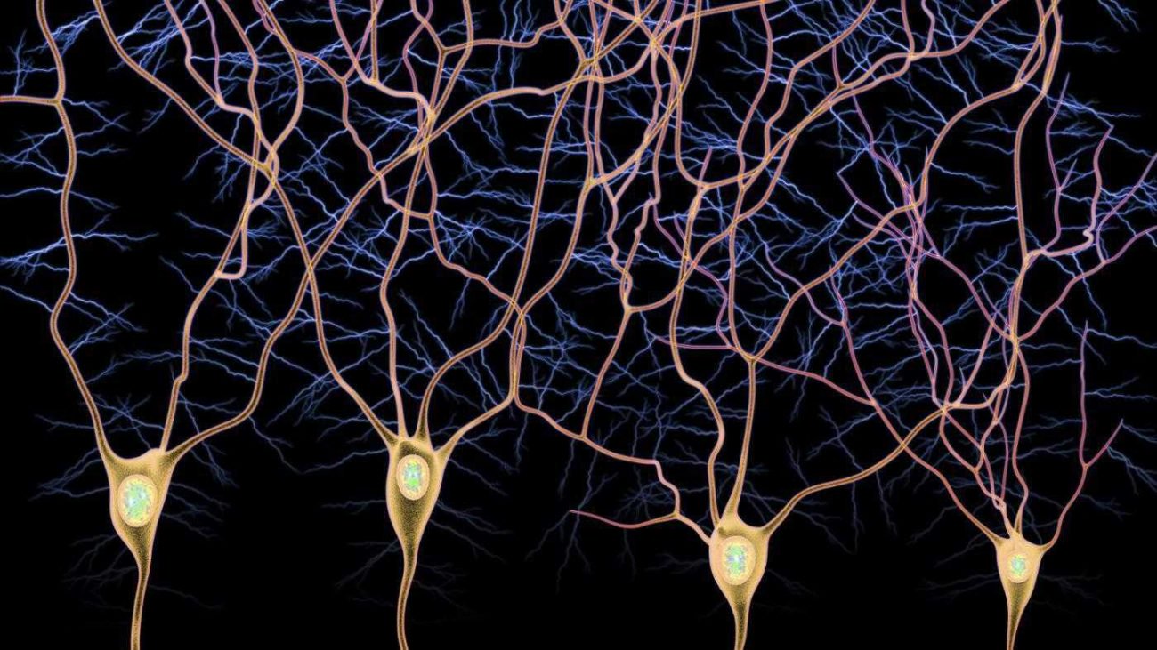 Os jogadores estão ajudando os cientistas a investigar o cérebro e abrir novos tipos de neurônios