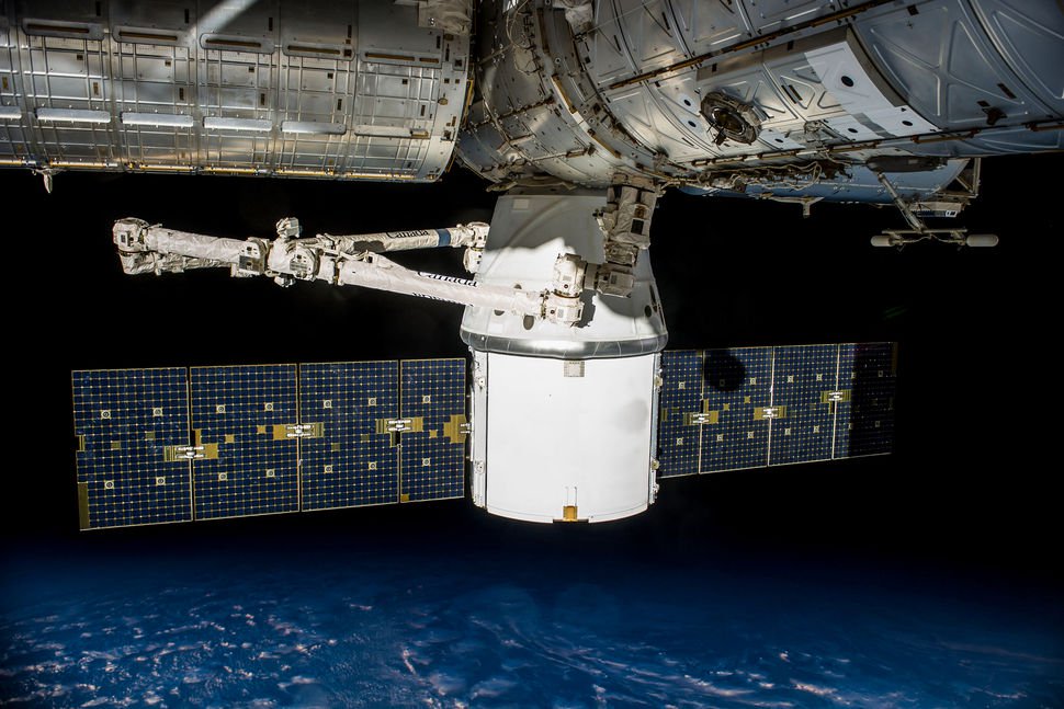 治愈癌症、海藻和鼠标：还有什么会被送到国际空间站在未来的任务？