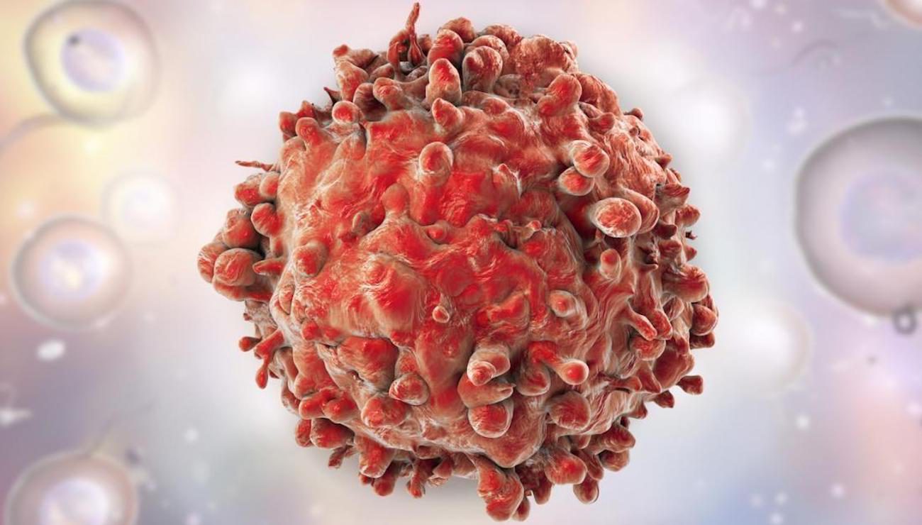 För att bekämpa cancer celler hjälper till att...cancerceller