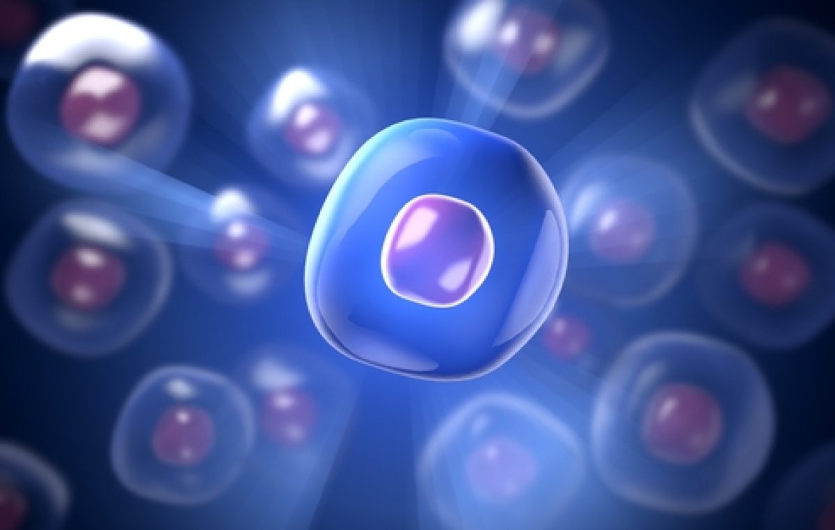 Forskare har hittat en ny typ av cell. Och deras form är mycket specifika