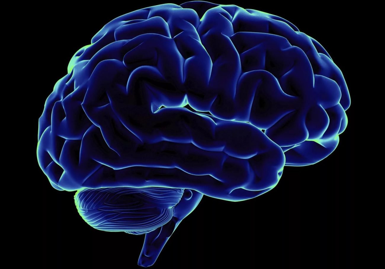 اكتشاف الخلايا العصبية المسؤولة عن الوعي