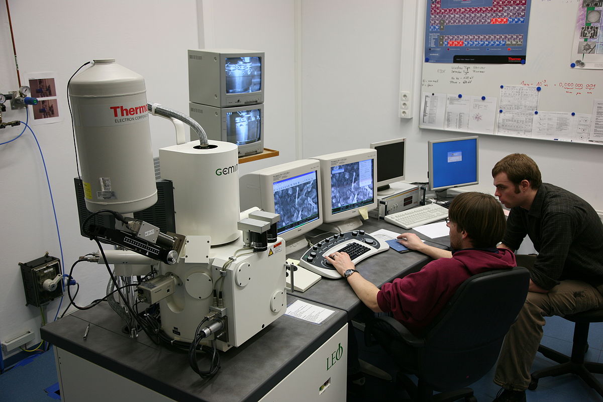 El nuevo microscopio electrónico permite ver los átomos de las células vivas